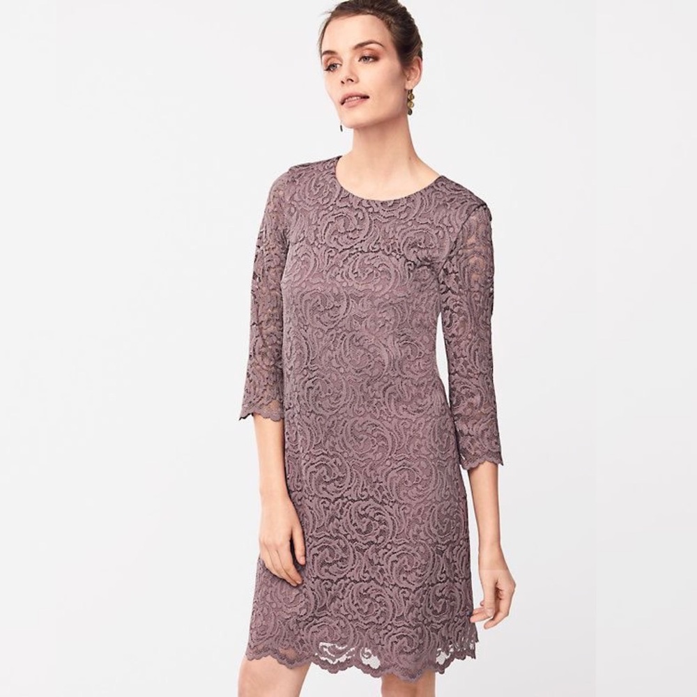 Garnet Hill Lace Sheath Dress Size 4 Taupe 3/4 Sleeve